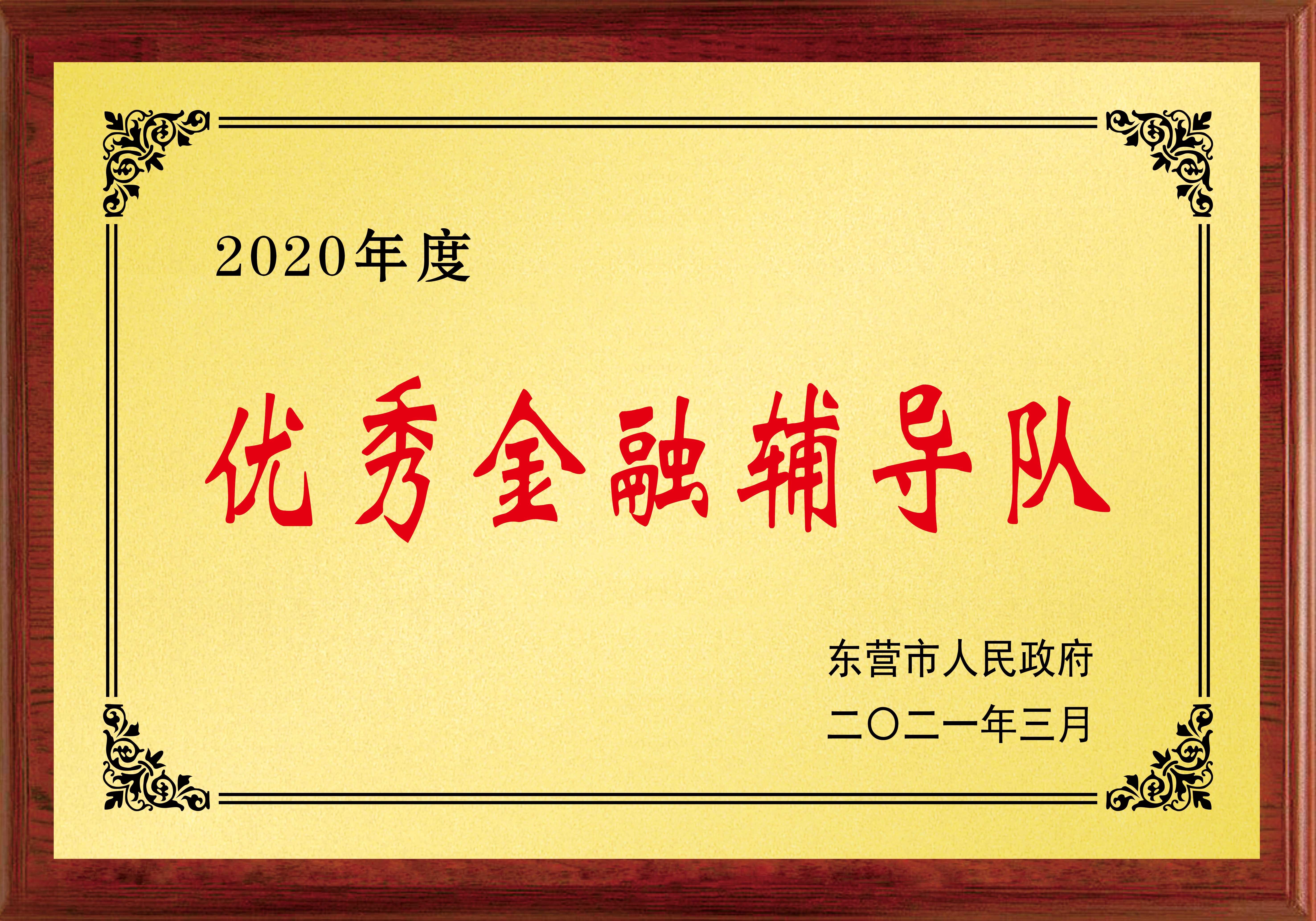 2020年度 優(yōu)秀金融輔導(dǎo)隊